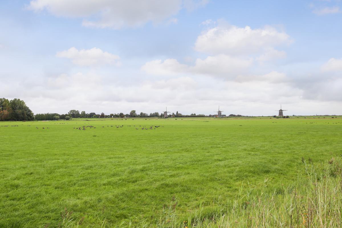 Arenastraat 37 's-Gravenhage - foto 2