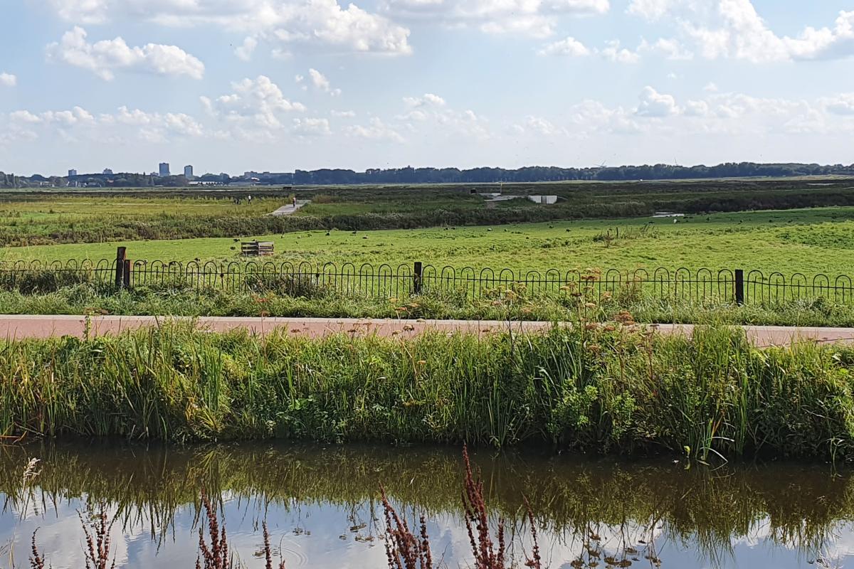 Arenastraat 37 's-Gravenhage - foto 5
