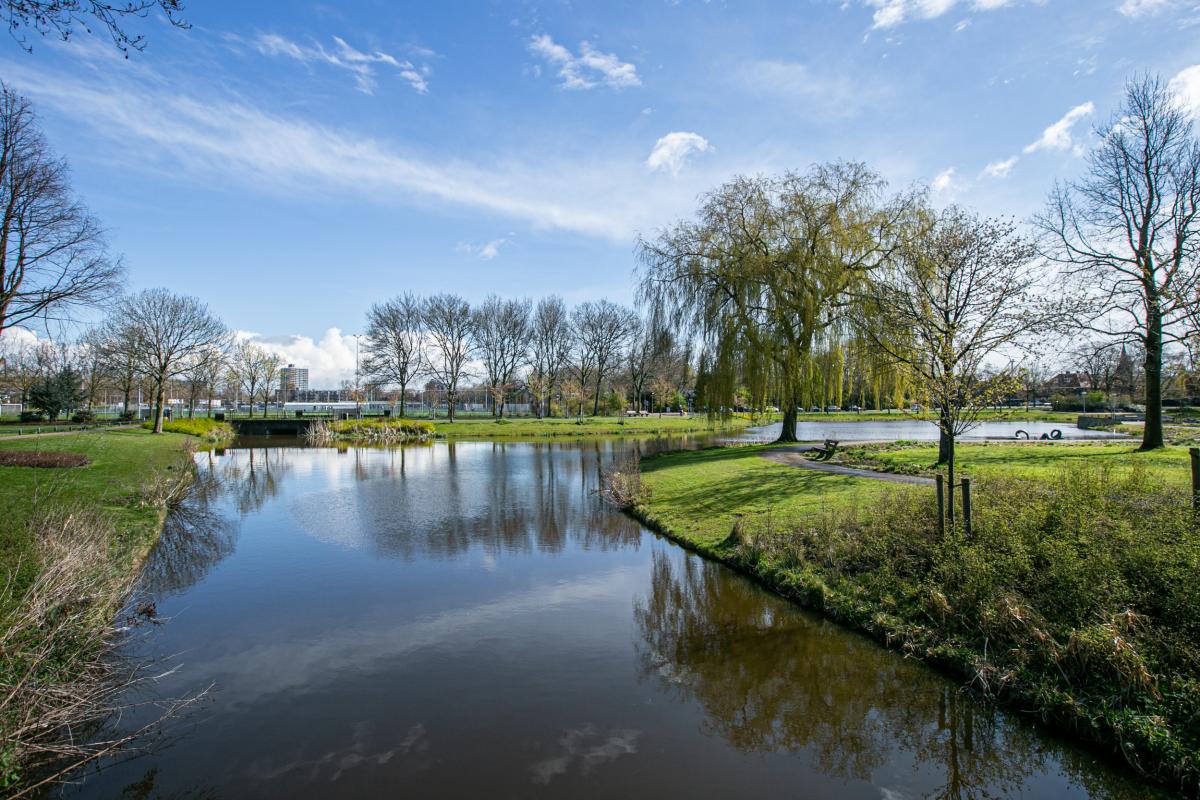 Rozenboomlaan 145 Voorburg - foto 4