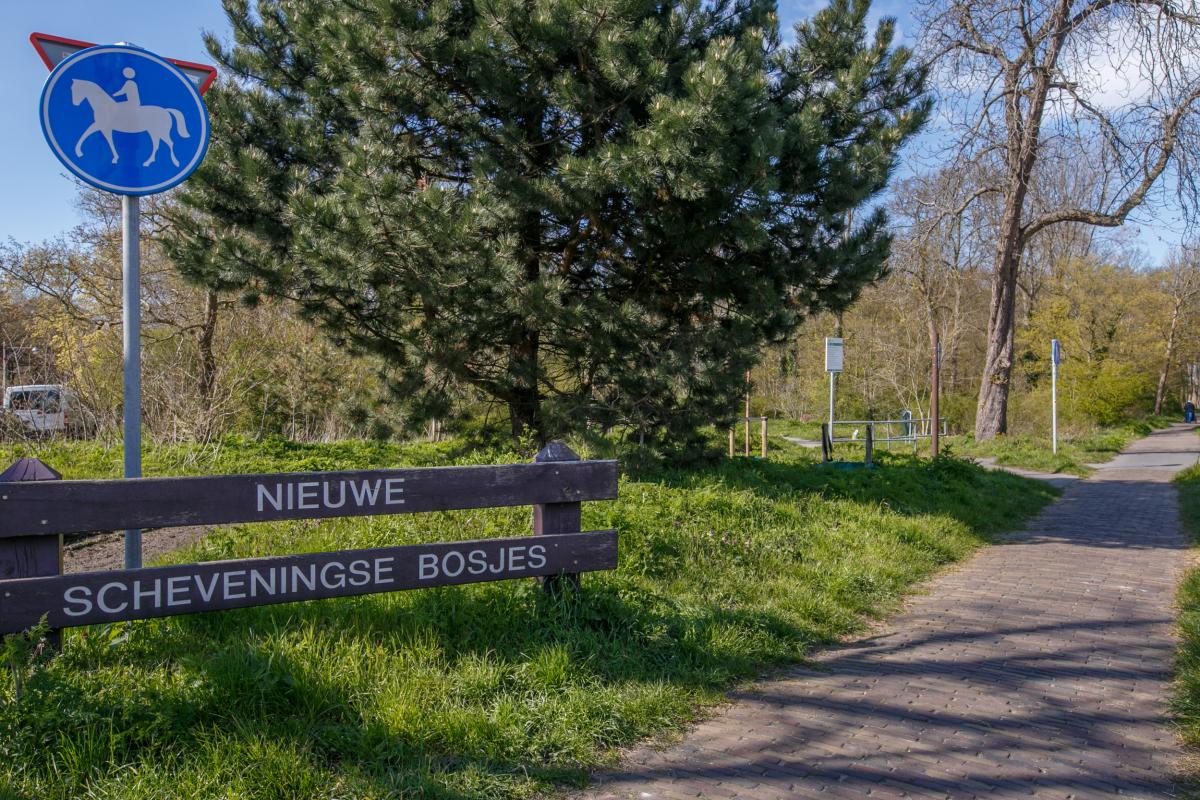 Klatteweg 16 's-Gravenhage - foto 4