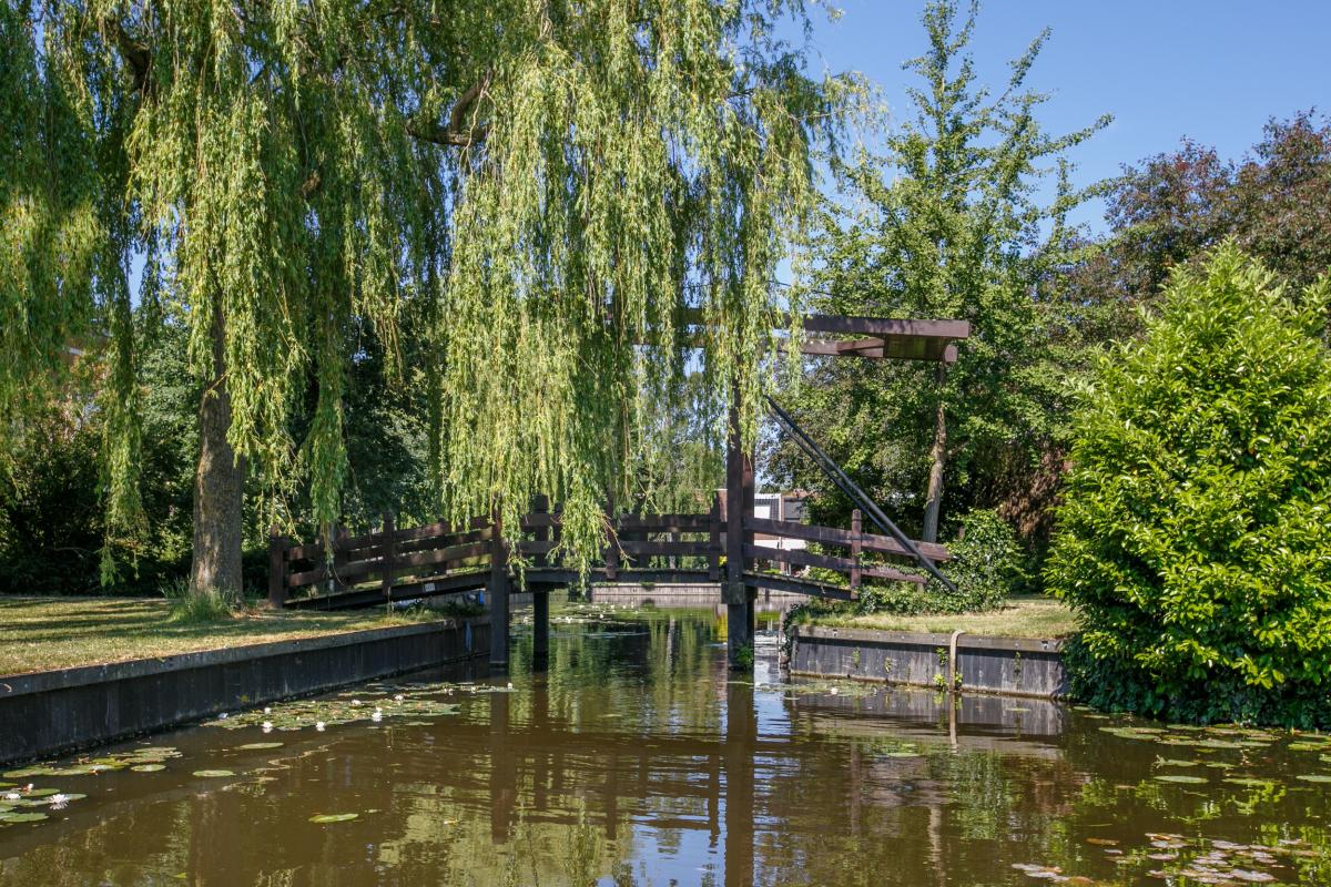 Calslaan 8 Leiden - foto 3