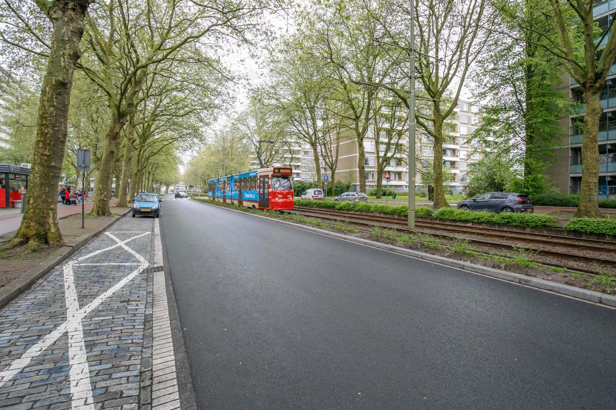 Granaathorst 39 's-Gravenhage - foto 4