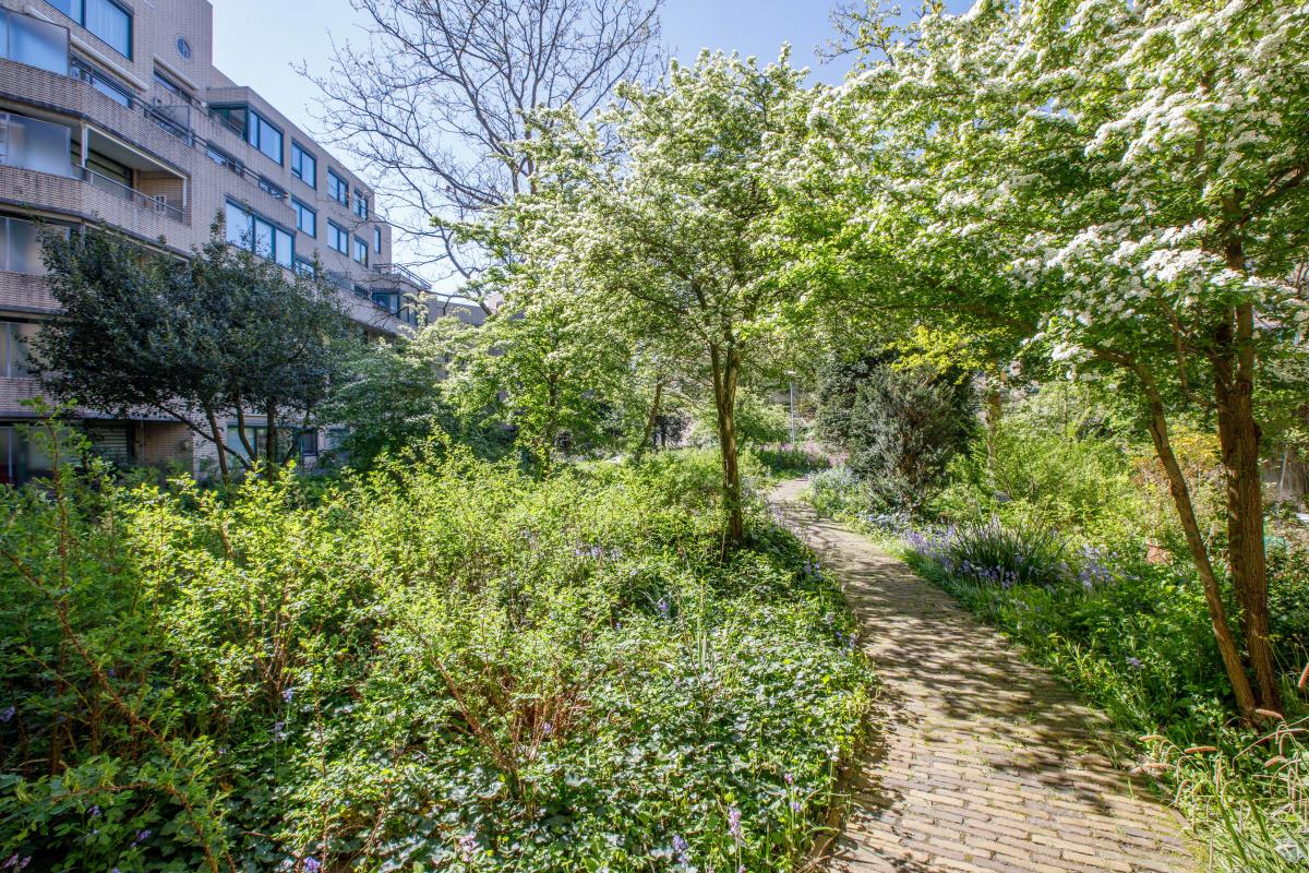 Burgemeester Patijnlaan 644 Den Haag - foto 5