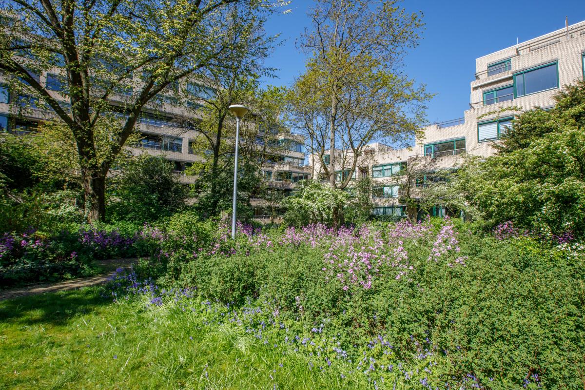 Burgemeester Patijnlaan 644 Den Haag - foto 7